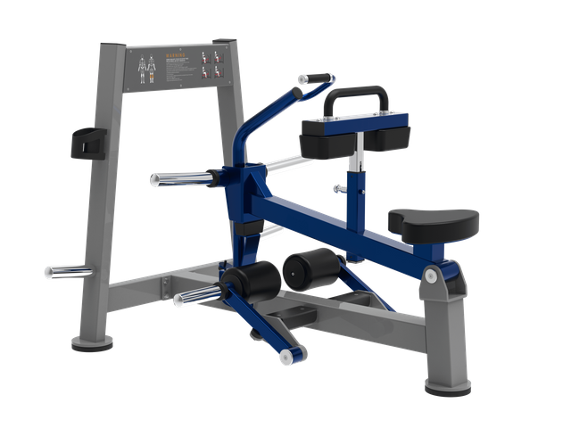 BSW-SPL56 Суперсидящий теленок | Машина для поднятия икр сидя | Солеус Разработчик