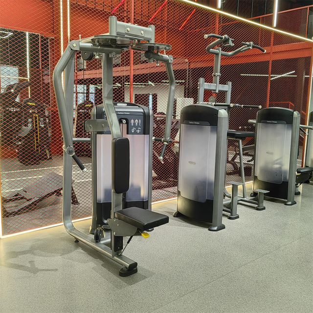 Тренажер для задних дельт FF07 | Строитель верхней части спины | OEM-оборудование для фитнеса