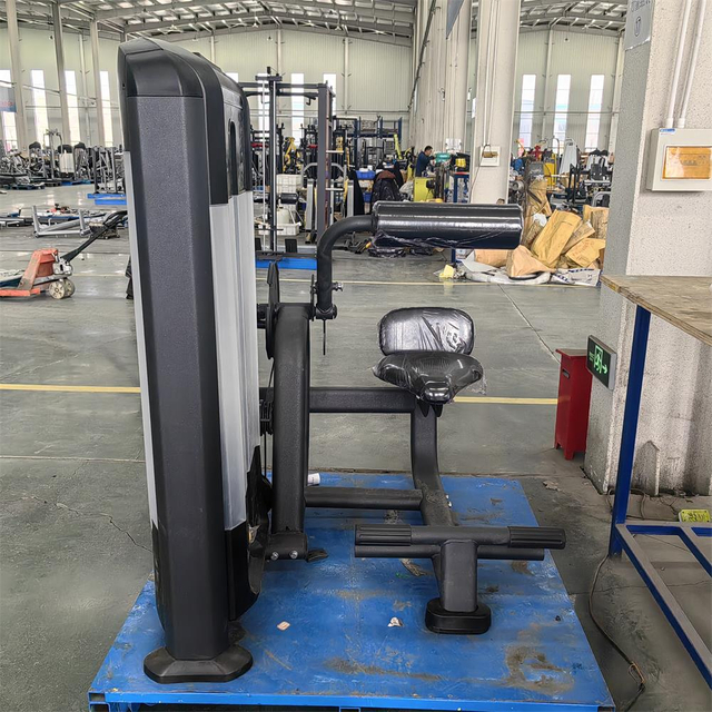 FF31 Машина для разгибания спины | Усилитель нижней части спины | Разработчик задней цепи