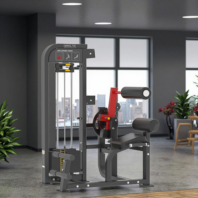 MND-FM85 Тренажер для талии и живота | Роторная машина для туловища | Oblique и основной разработчик